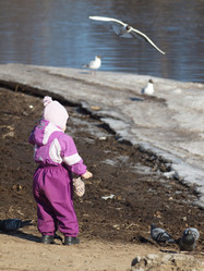 Similar image 145125