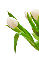 Similar image 145126