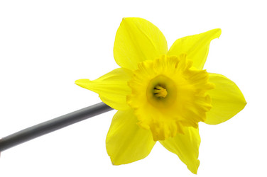 Similar image 145144