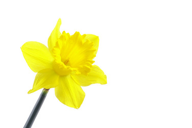 Similar image 145145