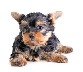 Similar image 145146