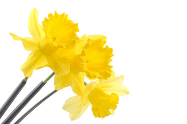 Similar image 145147