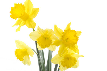 Similar image 145148