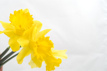 Similar image 145151