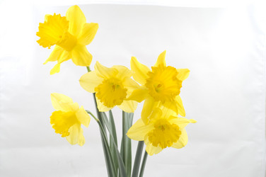 Similar image 145152