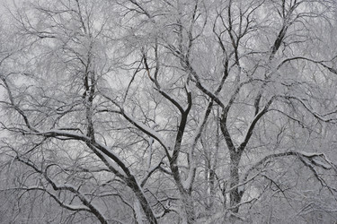 Similar image 145175