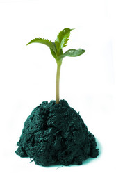 Similar image 145176