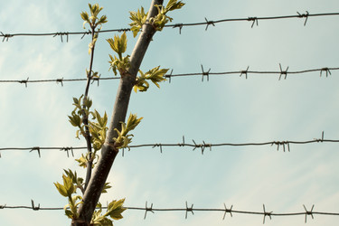 Similar image 145178