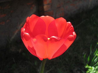 Similar image 145192