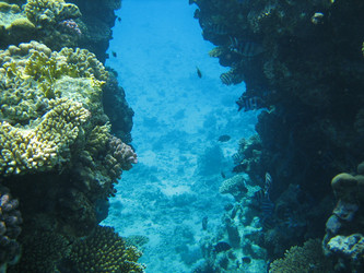 Similar image 145200