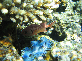 Similar image 145206