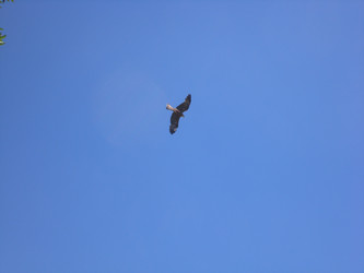 Similar image 145214