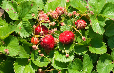 Similar image 145222