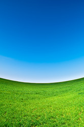 Similar image 145249