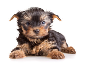 Similar image 145274