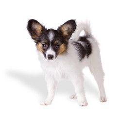 Similar image 145275