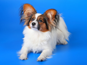 Similar image 145276