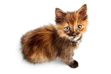 Similar image 145277