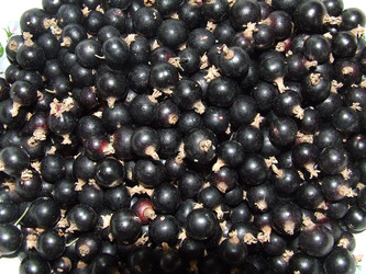 Similar image 145296