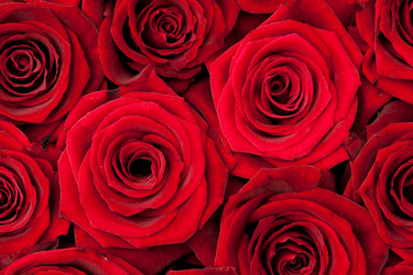 Similar image 145324