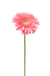 Similar image 145326