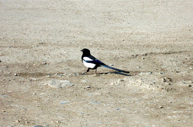 Similar image 145328