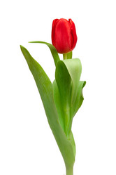 Similar image 145338