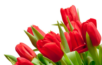 Similar image 145339