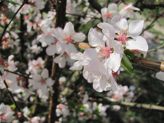 Similar image 145346