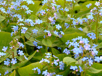 Similar image 145374