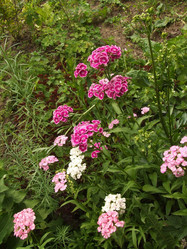 Similar image 145376