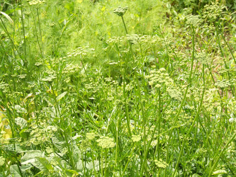 Similar image 145377