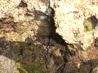 Similar image 145379