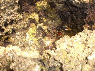 Similar image 145380