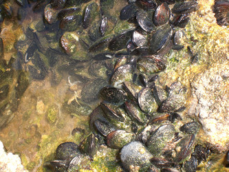 Similar image 145383