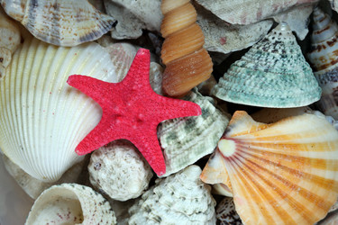 Similar image 145450