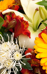 Similar image 145478