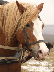 Similar image 145491