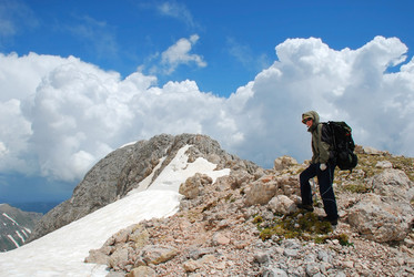 Similar image 145539