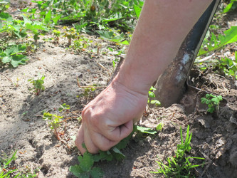 Similar image 145569