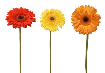 Similar image 145601