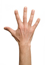 Similar image 145603