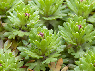 Similar image 145604