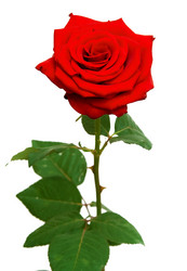 Similar image 145645