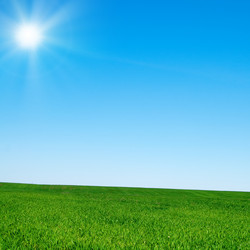 Similar image 145661