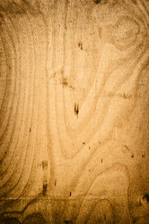 Similar image 145665