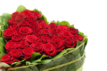 Similar image 145667