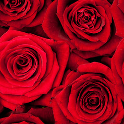 Similar image 145668