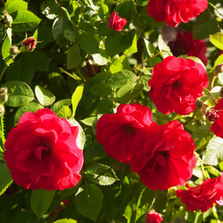 Similar image 145676