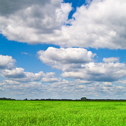 Similar image 145681